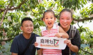 中国带桃的城市有几个 中国水蜜桃之乡