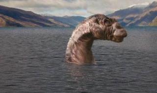 天山天池定海神针在什么位置 天山天池疑拍到水怪