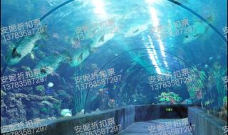 郑州海洋馆门票 郑州海洋馆门票