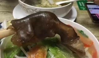 我一个人不孤单 我一个人不孤单