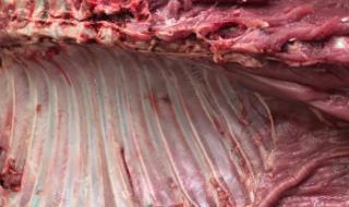 狍子肉咋做好吃 狍子肉咋做好吃