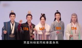 张晚意身高多少 张晚意身高多少