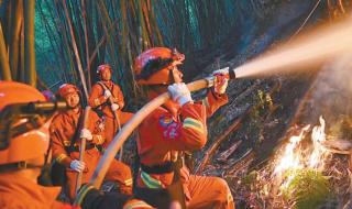 重庆发生过几次山火 重庆山火最新情况