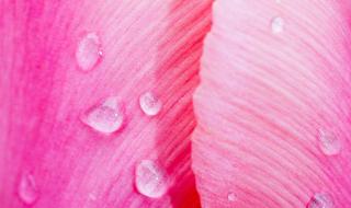 一按就透明的壁纸