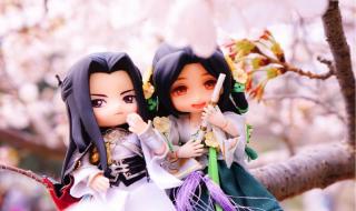 逆水寒踏春谣值得买吗 遇见逆水寒春日踏青