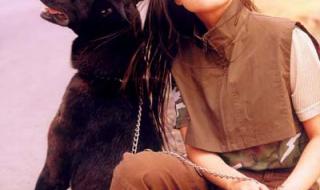 铿锵玫瑰田震原唱歌词 铿锵玫瑰田震歌词