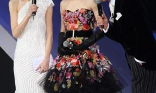 2012安徽卫视国剧盛典 2012安徽卫视国剧盛典