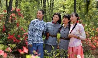 雅典娜和纳兰东吻戏是在第几集 雅典娜女神叶璇全集