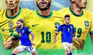 巴西赢过几次世界杯 2018年世界杯巴西队成绩