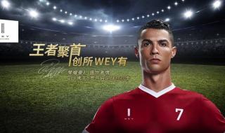 谁能获得历史第一个国际足联金球奖 世界杯金靴奖金球奖能给同一人吗